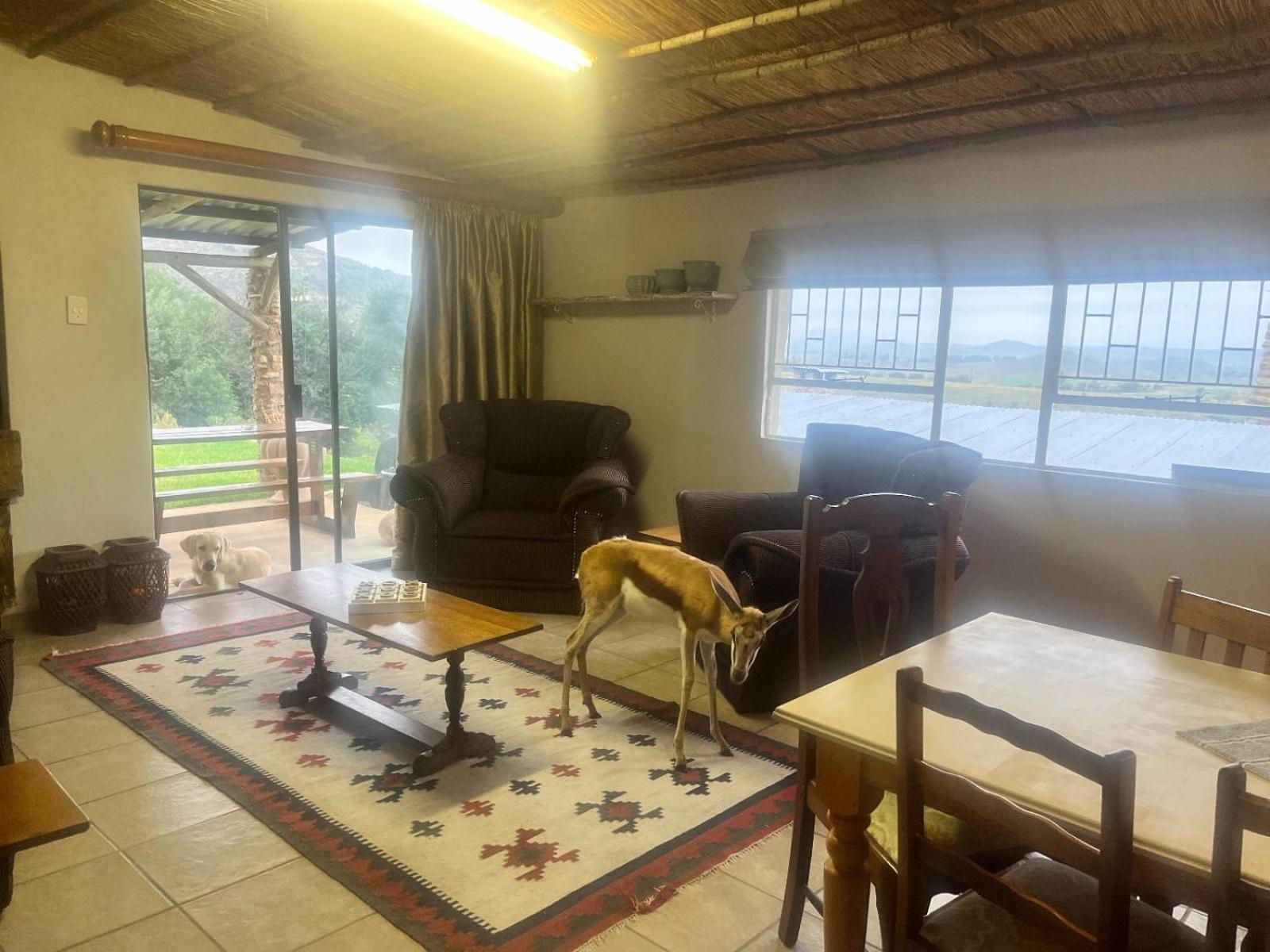 Uitzicht Private Nature Reserve And Lodge Fouriesburg Extérieur photo